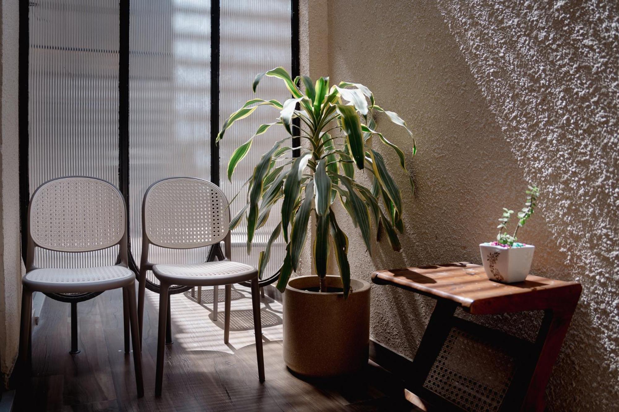 Kaas By Safarnama - Boutique Hotel 瓦拉纳西 外观 照片